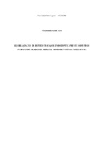 MONOGRAFIA IMPRESSA FINAL,pdf.pdf