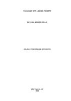 Monografia Natasha Mendes.pdf