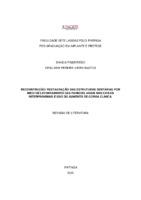 TCC PRÓTESE Bianca e Crislaine.pdf