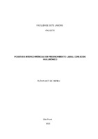 Flavia Osti de Abreu - Monografia.pdf