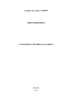 Renata_Borella_Monografia.pdf