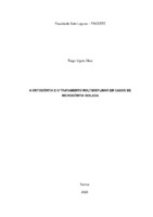 TCC Tiago Vigolo Silva.pdf