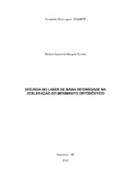 Barbara_Marques_Monografia.pdf