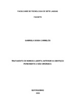 TCC - Gabriela Souza Carnelós.pdf