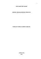 Adriana_Moura_Monografia.pdf