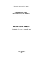 Iasmim Moreira de Almeida e Lirian Michele Gonçalves de Freitas.pdf