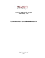 Tomografia em Endodontia facsete 2019 nayara.pdf