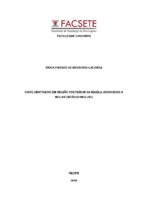 MONOGRAFIA DEFINITIVO ERICA PASSOS.pdf