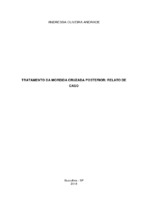 monografia andressa andrade.pdf