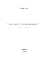 Monografia Evandro Isber.pdf