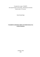 monografia  Victor Almeida Fraga.docx.pdf