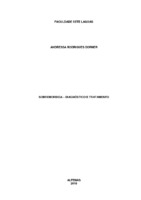 MONOGRAFIA ANDRESSA DORNER.pdf