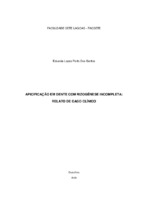 Eduarda Lopes Porto_Monografia.pdf