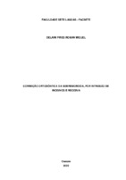 DELAINI PIRES ROMAN MIGUEL - MONOGRAFIA.pdf