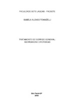 MONOGRAFIA ISABELA ALONSO TOMAZELLI.pdf