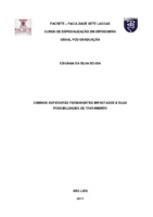 EDIVÂNIA DA SILVA SOUSA_MONOGRAFIA.pdf