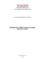 Manografia Mauro.pdf