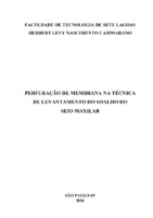 Monografia Herbert.pdf